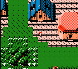 Faria: A World of Mystery and Danger NES screenshot 1