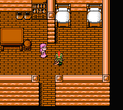 Kouryuu Densetsu Villgust Gaiden NES screenshot 2