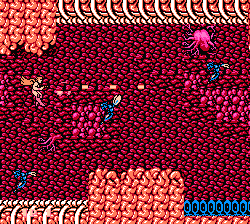 Legendary Wings NES screenshot 2